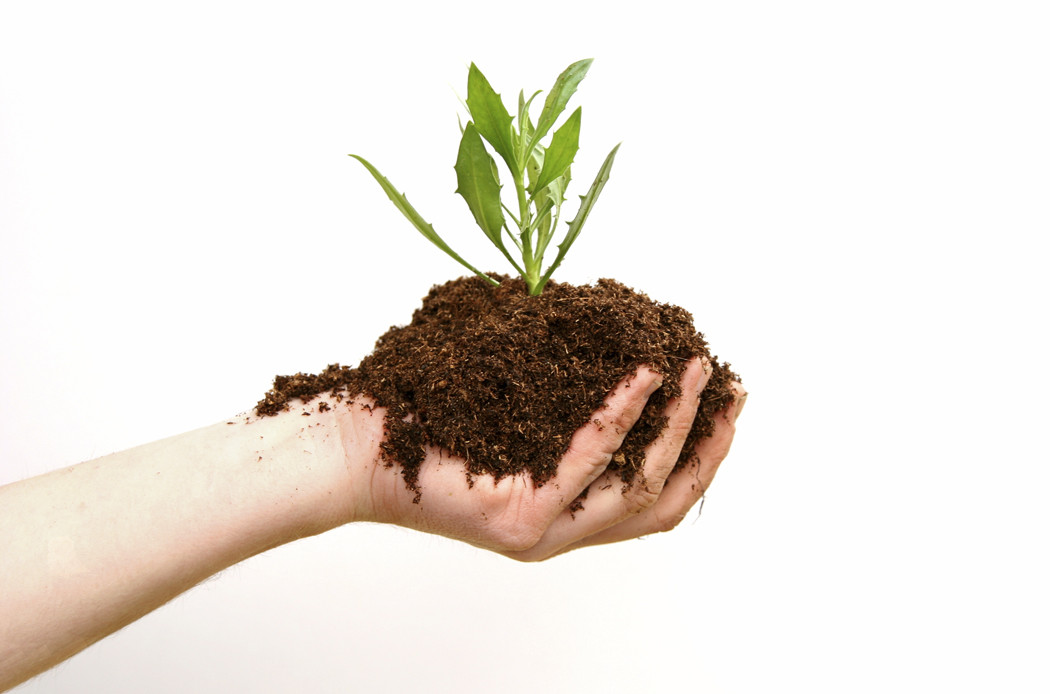 organic fertilizer